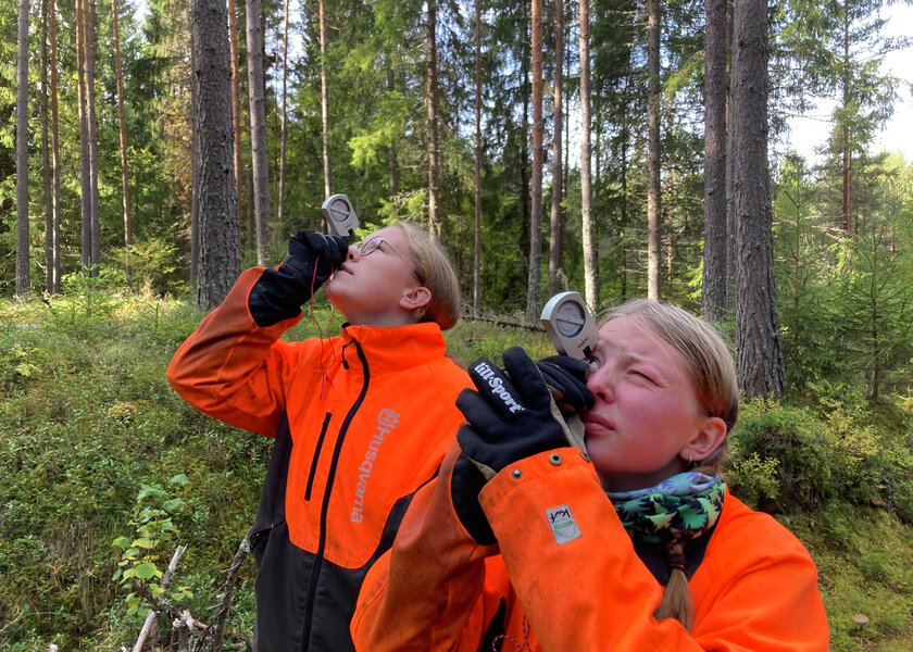 Elever som driver med høydemåling av trær - Klikk for stort bilde