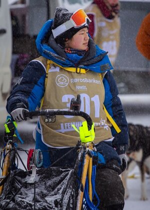 Hundekjøring i Femundsløpet - Klikk for stort bilde