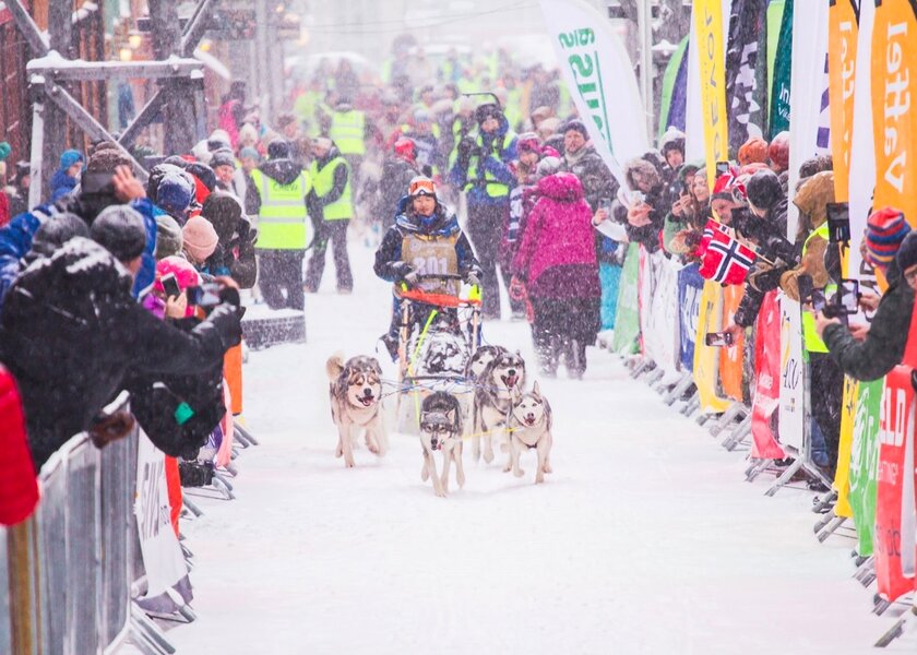 hund og hundekjøring - Klikk for stort bilde