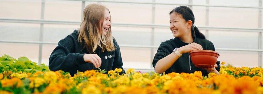 To blide jenter som jobber i gartneriet - Klikk for stort bilde