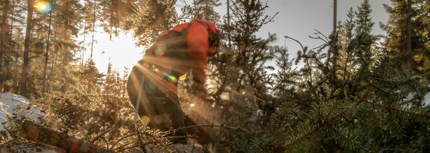 Arbeid i skogen  - Klikk for stort bilde